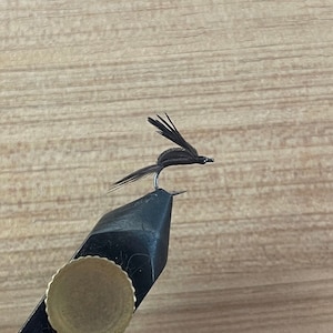 2 pack - Dusty Beetle Dry Fly