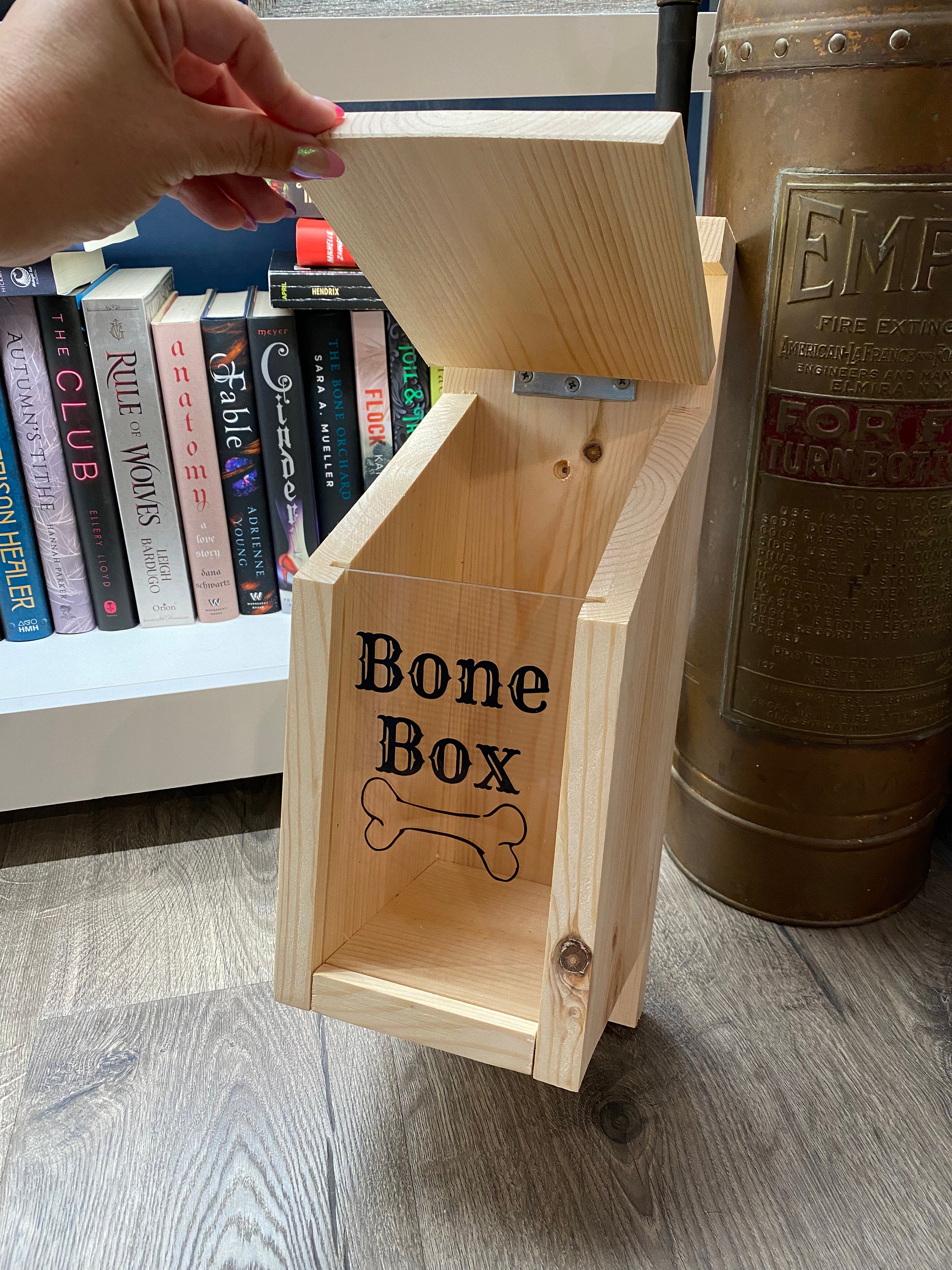Dog Treat Box for Little Libraries - Etsy