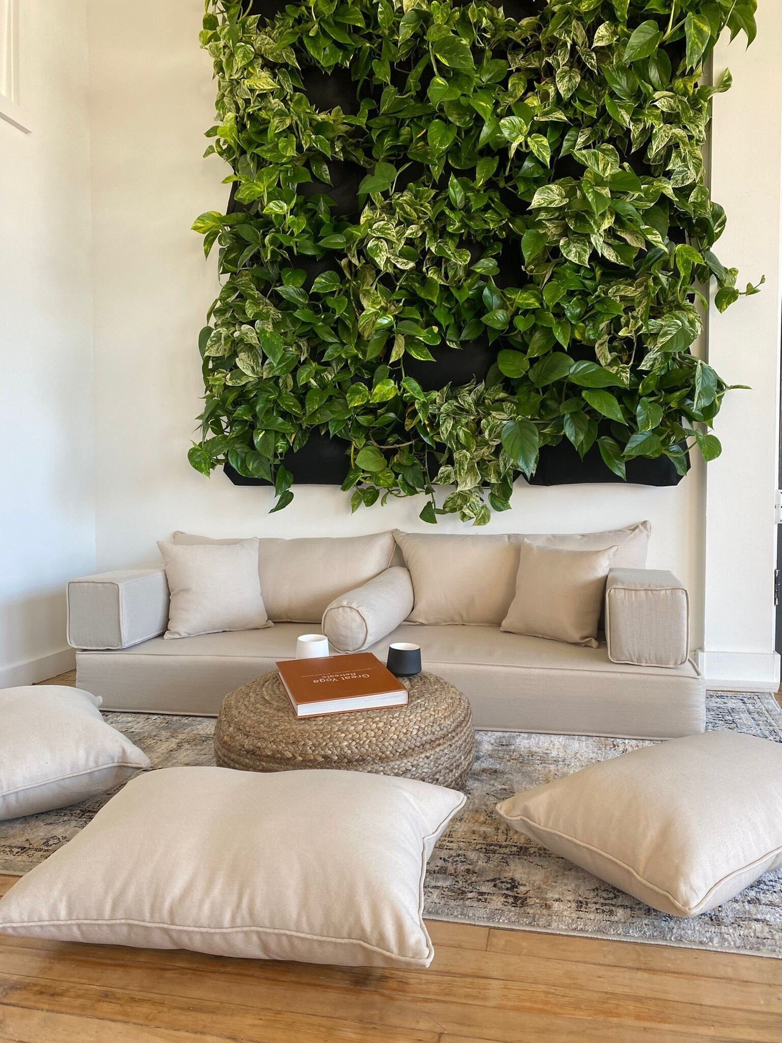 Used cloud couch deals