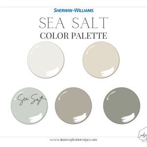 SW Sea Salt Paint Color Palette | Sherwin Williams Sea Salt | Professional Paint Color Palette | Instant Download