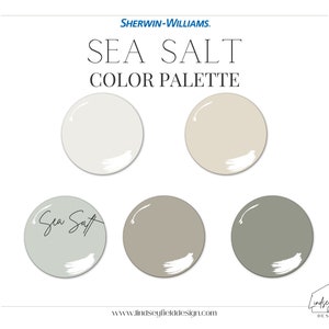 Farmhouse Paint Color Palette | Sherwin Williams Sea Salt | Professional Paint Color Palette | Interior Design | Cream paint | Beige Paint