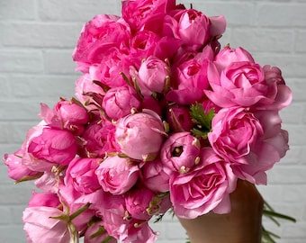 Half Clone Marshmallow Ranunculus Corms