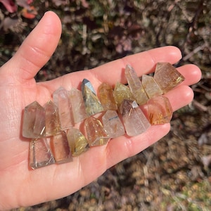 May include: A collection of golden rutilated quartz points, each with a unique pattern of golden inclusions. The points are clear and translucent, with a slight yellow hue. They are arranged in a hand, showcasing their size and shape.