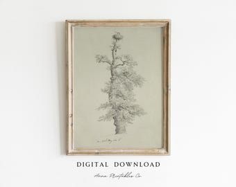 Antique Tree Sketch DIGITAL DOWNLOAD | Vintage Rustic Drawing Printable Wall Art | 1800s Wall Art | Cottage Farmhouse Aesthetic Home Decor