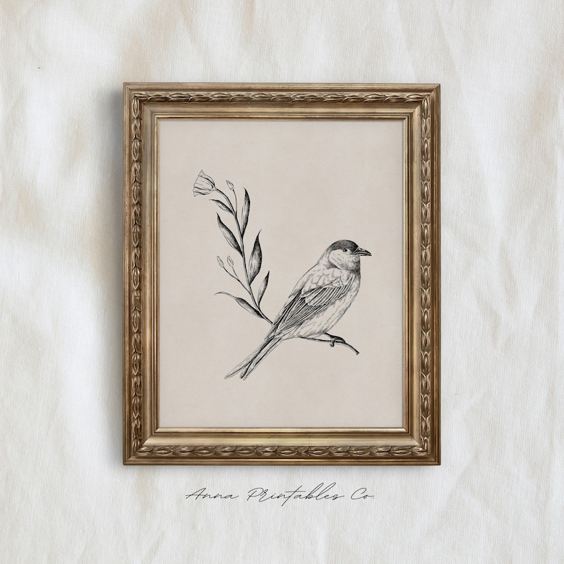 Vintage Bird Illustration Wall Art Print, Antique Bird Drawing Printable Wall Art, Light Academia Decor, Nature Prints, Farmhouse Home Art image 4