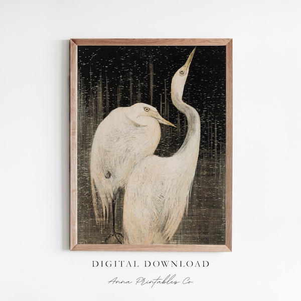 Two Egrets | Antique Black and White Bird Drawing for Digital Download | Theo Van Hoytema Fine Art Prints | Dark Academia Printable Wall Art