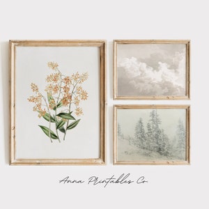 May include: Three framed prints, one with a botanical illustration of a yellow flower, one with a sepia toned image of clouds, and one with a muted blue image of a snowy forest.