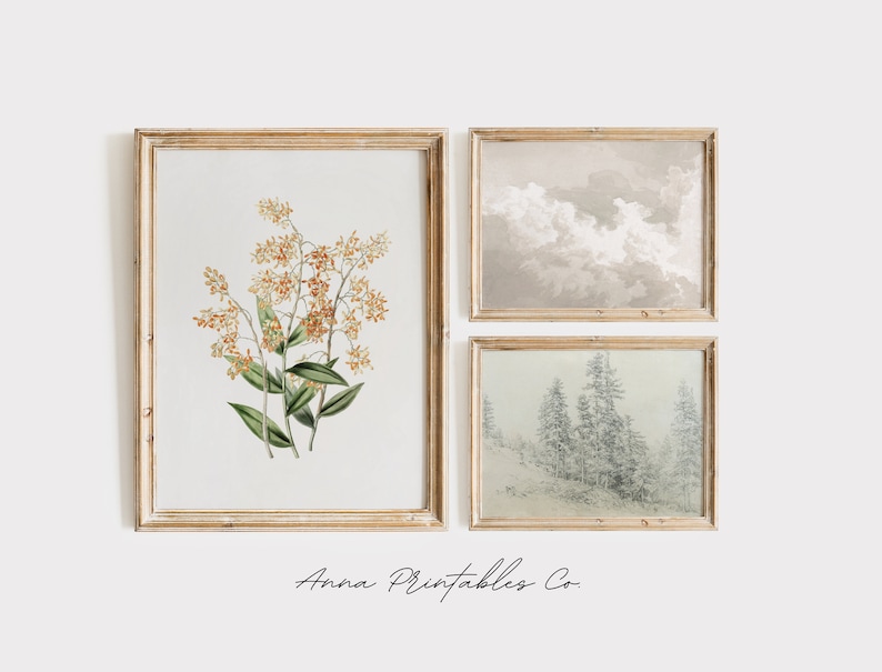 May include: Three framed prints, one with a botanical illustration of a yellow flower, one with a sepia toned image of clouds, and one with a muted blue image of a snowy forest.