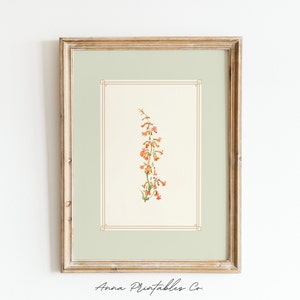 K&ouml;nnte beinhalten: Ein gerahmter Druck eines Aquarells mit einem einzelnen Stiel orangefarbener Blumen mit rosa Akzenten. Der Druck ist in einem hellen Holzrahmen mit einer hellgr&uuml;nen Passepartout gerahmt.