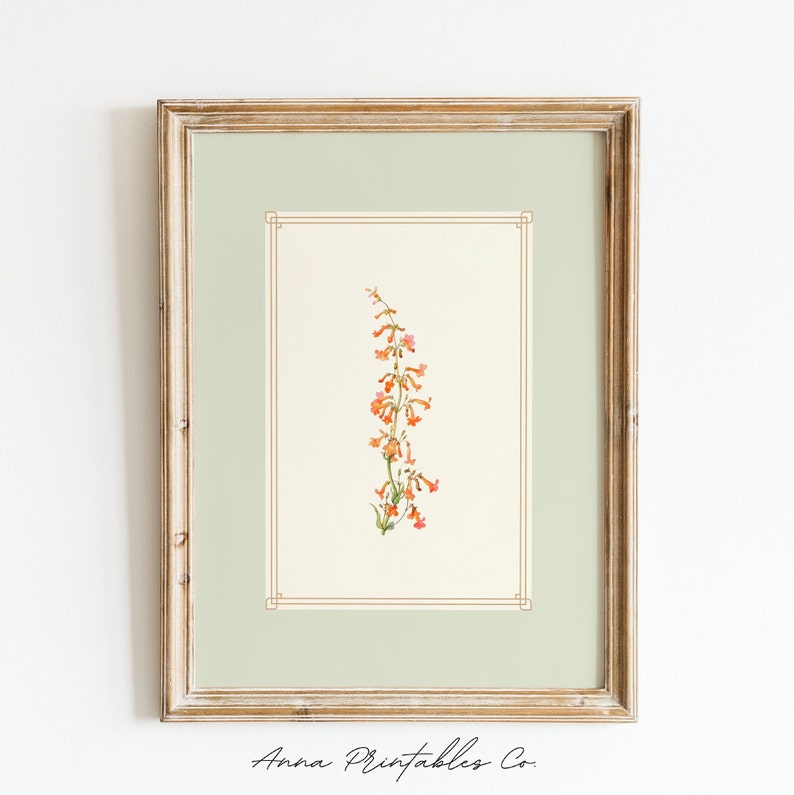 K&ouml;nnte beinhalten: Ein gerahmter Druck eines Aquarells mit einem einzelnen Stiel orangefarbener Blumen mit rosa Akzenten. Der Druck ist in einem hellen Holzrahmen mit einer hellgr&uuml;nen Passepartout gerahmt.