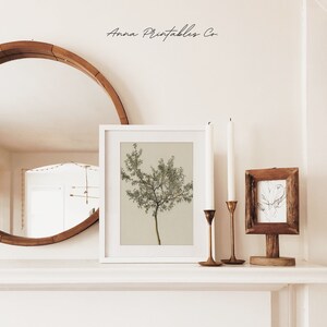 May include: A white frame with a botanical illustration of a tree with green leaves and a light brown trunk. The frame is on a white shelf with two gold candle holders and a small wooden frame with a black and white illustration.