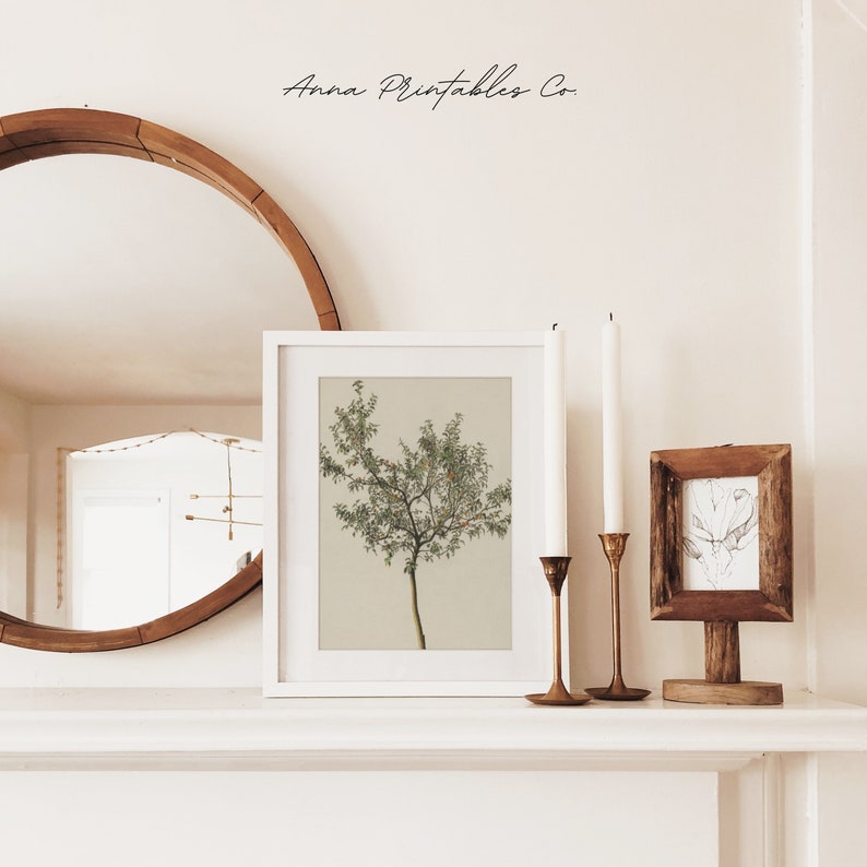 May include: A white frame with a botanical illustration of a tree with green leaves and a light brown trunk. The frame is on a white shelf with two gold candle holders and a small wooden frame with a black and white illustration.
