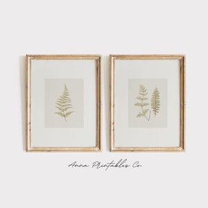 Autumn Ferns | Antique Fern Plant Drawing Sketch Prints Set of 2 for Digital Download | Neutral Tone Vintage Minimalist Printable Wall Art