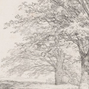 Tree Sketch VII | Antique Landscape Drawing Digital Download | Rustic ...