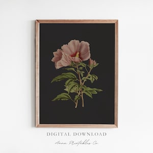 Moody Florals Digital Print, Dark Floral Digital Download, Printable Wall Art, Vintage Aesthetic, Dark Academia Flowers, Botanical Art