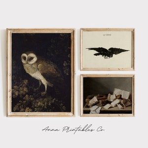 May include: Three framed prints with a dark background. The first print features a barn owl with brown and white feathers perched on a branch. The second print features a black silhouette of a raven with the text "ex libris". The third print features a still life of a pile of old books on a table.