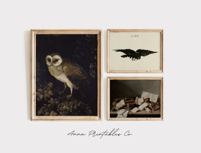 May include: Three framed prints with a dark background. The first print features a barn owl with brown and white feathers perched on a branch. The second print features a black silhouette of a raven with the text "ex libris". The third print features a still life of a pile of old books on a table.