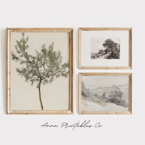 May include: Three framed prints in a gallery wall arrangement. The left print features a detailed illustration of a tree with green leaves and red fruit. The center print shows a black and white landscape with a tree in the foreground. The right print shows a black and white landscape with a hill in the foreground. The frames are all light wood.