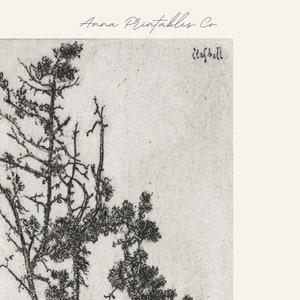 Peut inclure: Dessin au trait noir et blanc d'un groupe d'arbres. Le dessin est sur un fond de papier textur&eacute;. Le texte "Anna Printables Co." est en haut de l'image. Le texte "Zaffbell" est en bas &agrave; droite de l'image.