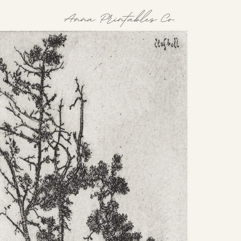 Peut inclure: Dessin au trait noir et blanc d'un groupe d'arbres. Le dessin est sur un fond de papier textur&eacute;. Le texte "Anna Printables Co." est en haut de l'image. Le texte "Zaffbell" est en bas &agrave; droite de l'image.