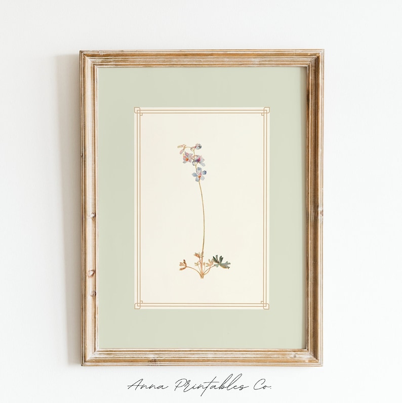 K&ouml;nnte beinhalten: Ein gerahmter botanischer Druck mit einer zarten, hellvioletten Blume mit gr&uuml;nen Bl&auml;ttern. Der Druck ist auf einem hellgr&uuml;nen Hintergrund und hat einen goldenen Rahmen.