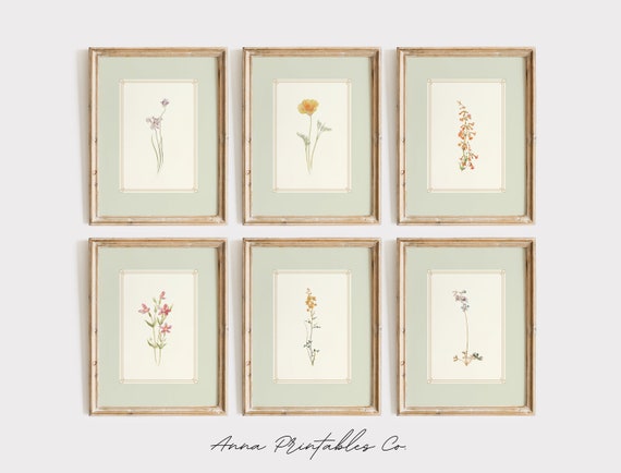 Mint Green Florals | Antique Botanical Set of 6 Prints for Digital Download | Vintage Floral Printable Wall Art | Sage Green Art Prints |