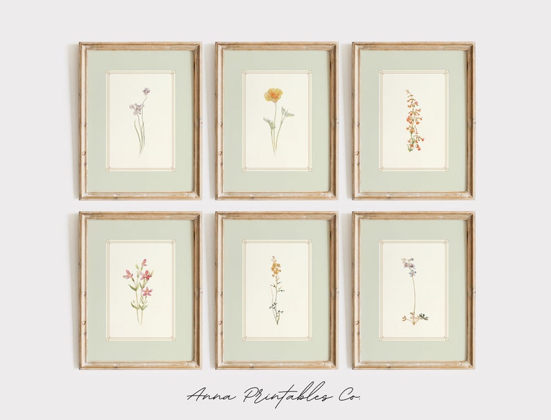K&ouml;nnte beinhalten: Satz von sechs botanischen Drucken mit Aquarell-Illustrationen verschiedener Blumen in einem hellgr&uuml;nen Rahmen. Die Drucke sind in zwei Reihen zu je drei angeordnet, mit dem Text "Anna Printables Co." unten.