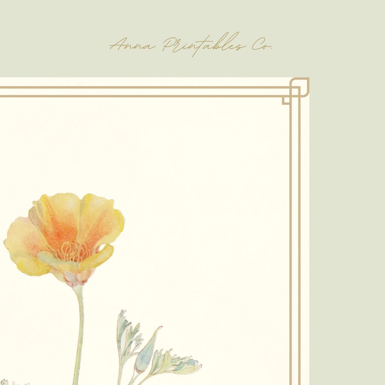K&ouml;nnte beinhalten: Eine Aquarell-Illustration einer einzelnen gelben Kalifornischen Mohnblume mit gr&uuml;nen Bl&auml;ttern und Knospen. Das Bild ist mit einem goldenen Rahmen versehen und der Text "Anna Printables Co." befindet sich oben im Bild.