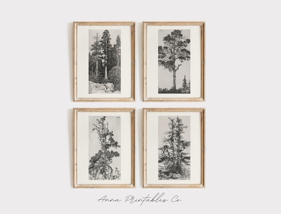 Vintage Tree Etchings Gallery Wall Set of 4 Prints for Digital Download, Tree Drawing Printable Wall Art, Rustic Nature Decor Art Prints