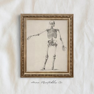 Anatomy | Vintage Skeleton Diagram Illustration for Digital Download ...