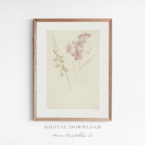 Puede incluir: Una ilustración botánica enmarcada que presenta una pintura de acuarela de flores rosas y amarillas con tallos y hojas verdes sobre un fondo crema.