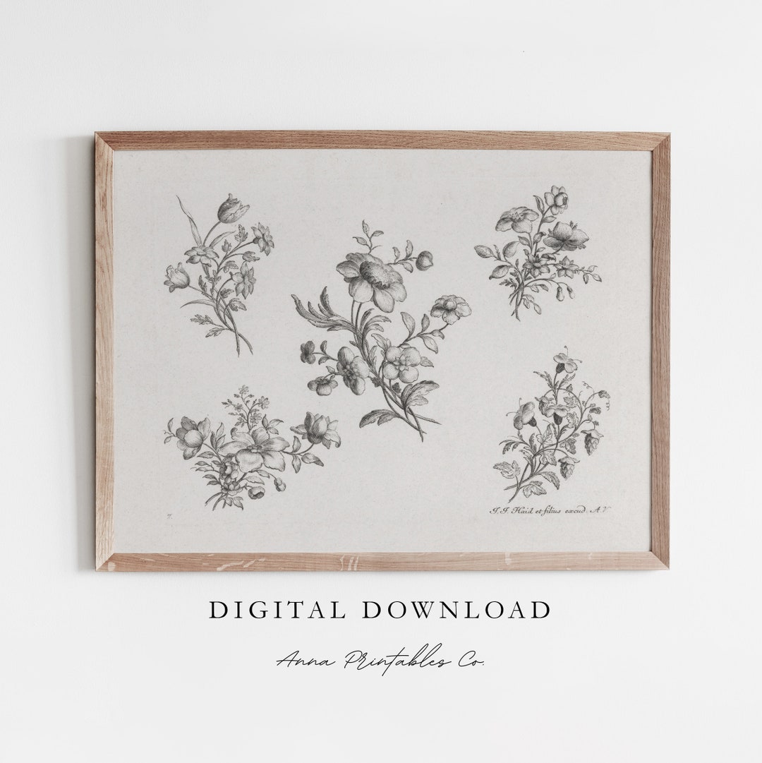 Flower Studies | Antique Flower Sketches for Digital Download | Vintage ...