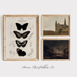 May include: Three framed prints on a white wall. The left print is a vintage illustration of a butterfly in various stages of life. The middle print is a painting of a castle with a tall tower. The right print is a painting of a dark forest with a full moon.