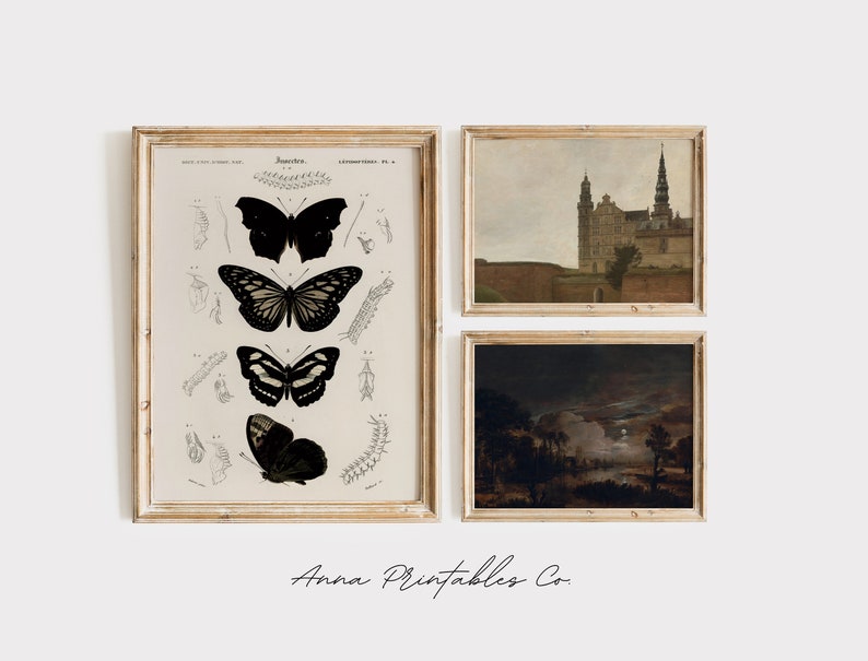 May include: Three framed prints on a white wall. The left print is a vintage illustration of a butterfly in various stages of life. The middle print is a painting of a castle with a tall tower. The right print is a painting of a dark forest with a full moon.