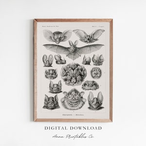 Fledermäuse | Vintage Fledermaus Anatomie Poster zum digitalen Download | Dark Academia druckbare Wandkunst | Gothic Kunstdrucke | Witchy Wanddekoration } Goth Art
