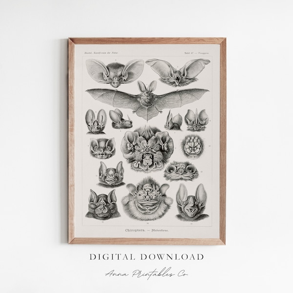 Bat Poster - Etsy