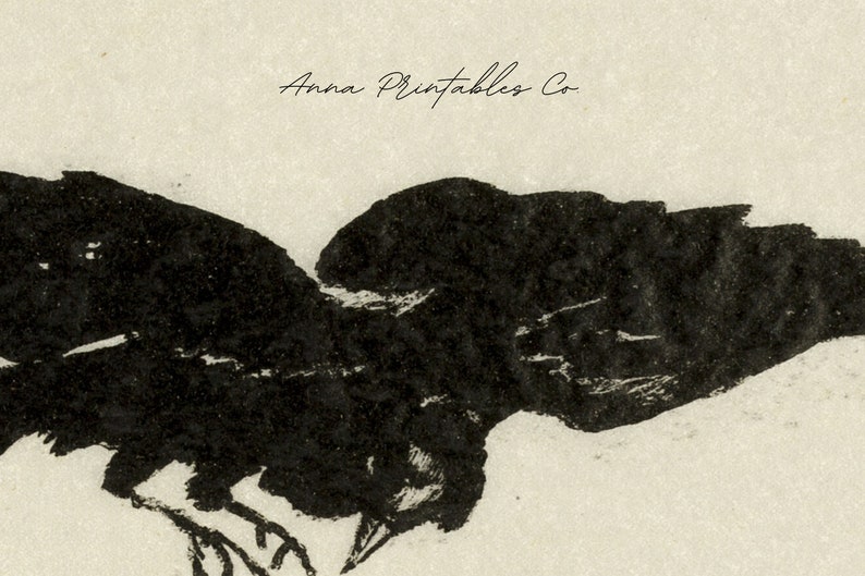 May include: Black and white illustration of a crow in flight. The crow is depicted in a simple, stylized manner, with its wings spread wide and its head turned to the side. The image is set against a light beige background. The text "Anna Printables Co." is visible at the top of the image.