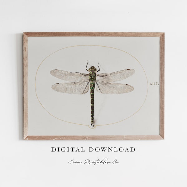 vintage Dragonfly Illustration Print Téléchargement numérique, Light Academia Decor Printable Wall Art, Insect Wall Art, Antique Esthétique Prints