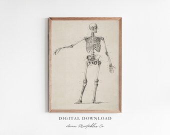 Anatomy | Vintage Skeleton Diagram Illustration for Digital Download | Dark Academia Printable Wall Art | Gothic Art Prints | Goth Decor