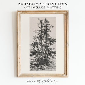 Peut inclure: Dessin au trait noir et blanc de trois grands arbres sur un fond beige clair. Le dessin est encadr&eacute; dans un cadre en bois clair.