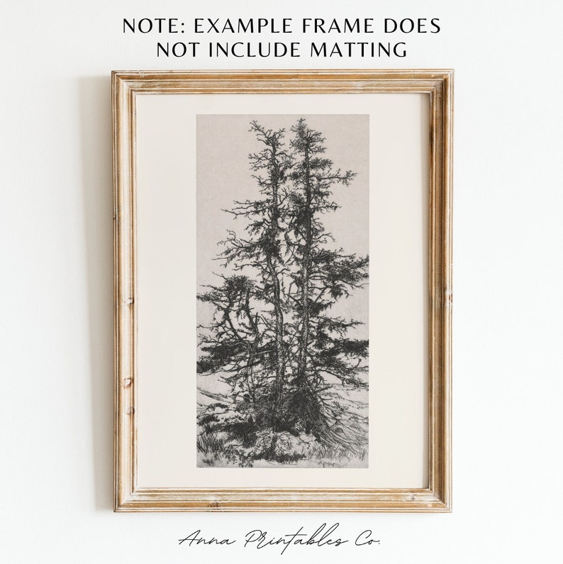 Peut inclure: Dessin au trait noir et blanc de trois grands arbres sur un fond beige clair. Le dessin est encadr&eacute; dans un cadre en bois clair.