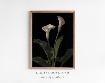 Puede incluir: Una descarga digital de una impresión de arte imprimible con dos lirios blancos con hojas verdes sobre un fondo negro.