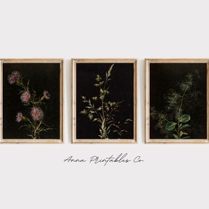 Dark Academia Dekor Wandkunst Bundle, Stimmungsvolles Dekor druckbare Wandkunst, 3 Stück druckbare Wandkunst, Set von 3 Drucke Vintage botanische Ölfarbe