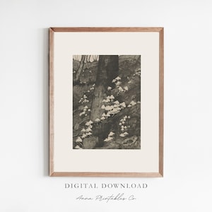 Mushrooms on a Forest Hillside Vintage Sketch for Digital Download, Dark Cottagecore Printable Wall Art, Dark Academia Decor Art Prints