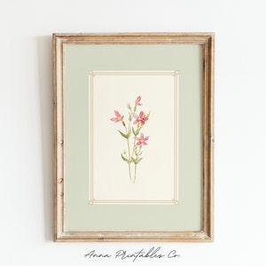 K&ouml;nnte beinhalten: Ein gerahmter Druck eines Aquarells mit rosa Bl&uuml;ten, gr&uuml;nen Stielen und Bl&auml;ttern. Der Druck ist in einem hellbraunen Rahmen mit einer hellgr&uuml;nen Passepartout.