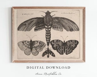 Stampa di insetti vintage Download digitale, Illustrazione di farfalle e falene Stampabile Wall Art, Stampe d'arte da parete Dark Academia Decor, Arte vintage