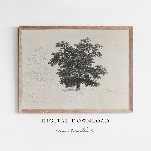 Vintage Tree Etching Print for Digital Download, Antique Tree Sketch Printable Wall Art, Neutral Wall Decor Art Prints, Rustic Nature Art