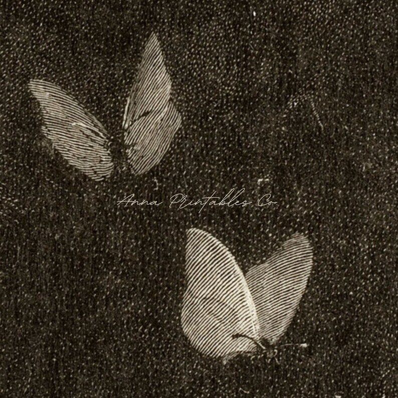 May include: A sepia-toned digital art print featuring two butterflies. The butterflies are rendered in a detailed, vintage style with visible wing patterns. The text "Anna Printables Co" is written in cursive.