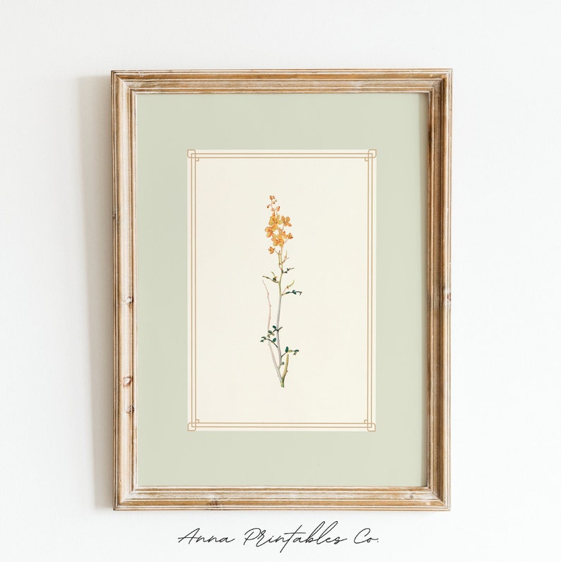 K&ouml;nnte beinhalten: Ein gerahmter botanischer Druck mit einer einzelnen gelben Blume mit gr&uuml;nen Bl&auml;ttern auf cremefarbenem Hintergrund. Der Rahmen ist aus hellem Holz mit einer gr&uuml;nen Passepartout.