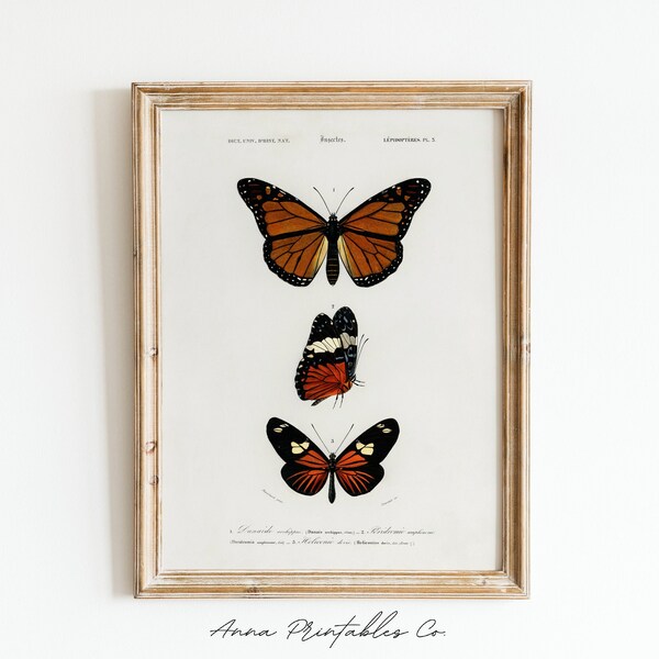 Pink Monarch Prints Etsy